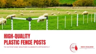 High Quality Plastic Fence Posts to Withstand Weather Elements Efficiently