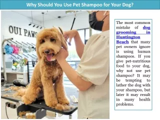 Why Should You Use Pet Shampoo for Your Dog?