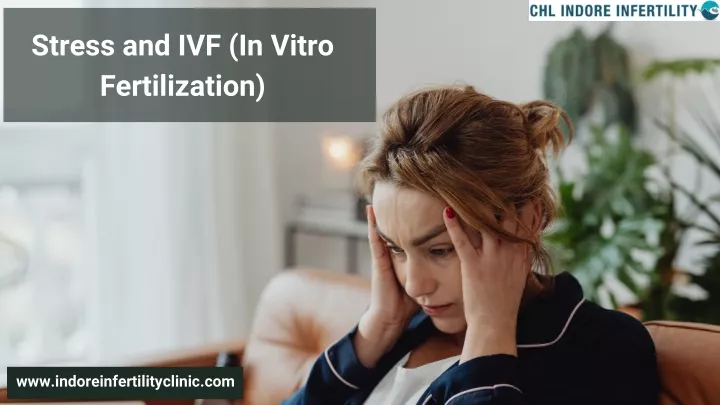 stress and ivf in vitro fertilization