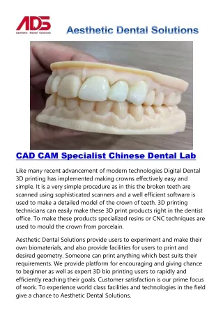 CAD CAM Specialist Chinese Dental Lab