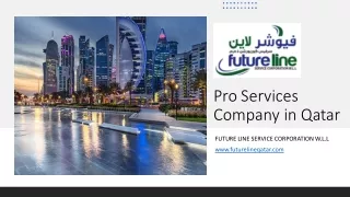 Pro Services Company in Qatar​