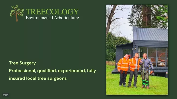 tree surgery professional quali ed experienced