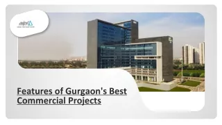 Features of Gurgaon's Best Commercial Projects