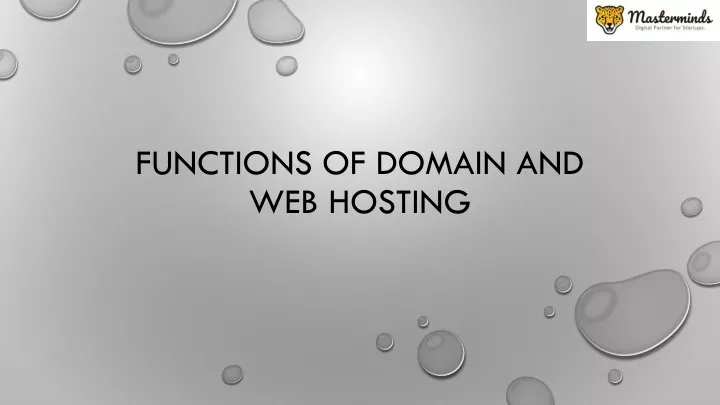 functions of domain and web hosting