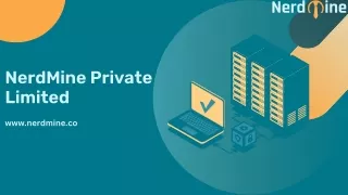 nerdmine private limited