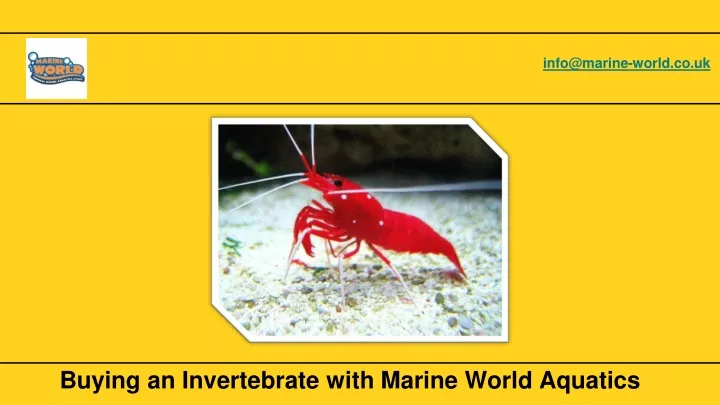 info@marine world co uk