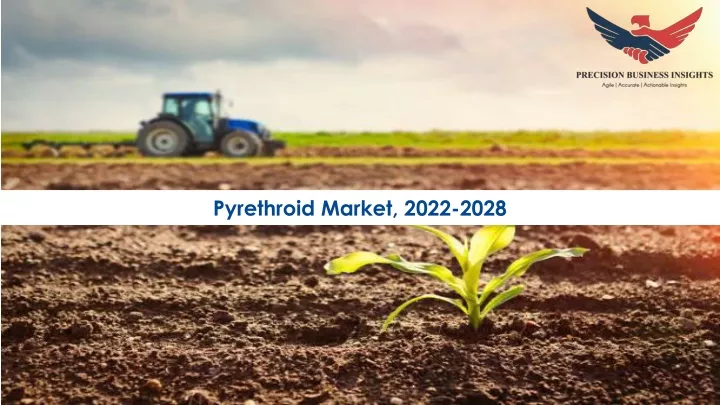 pyrethroid market 2022 2028