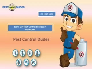 Pest Control Dudes