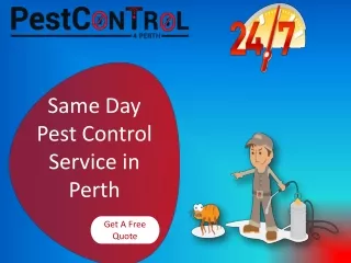 Pest Control 4 Perth