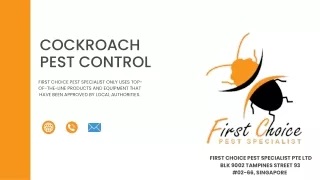 Cockroach  pest control