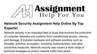 network security assignment help online