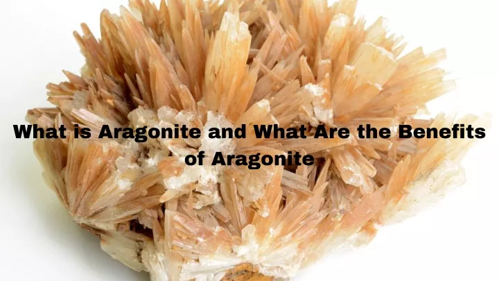 what is aragonite and what are the benefits