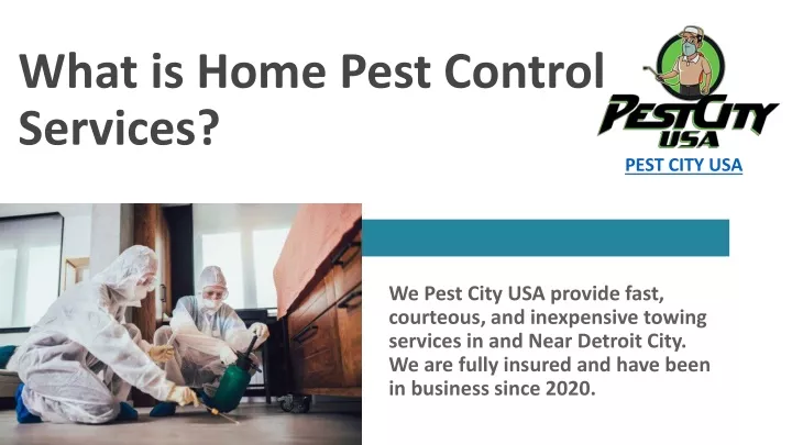 what is home pest control services