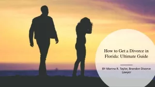 How to Get a Divorce in Florida Ultimate Guide diverse lawyer
