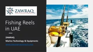 Fishing Reels in UAE_