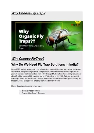 fly catcher bags near me