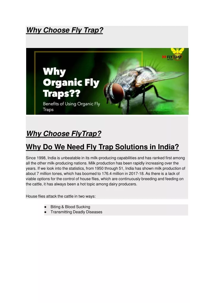 why choose fly trap