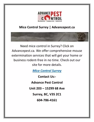 mice control surrey advancepest ca