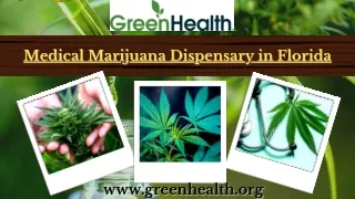 Get the Best Medical Marijuana Dispensary in Florida – Green Health