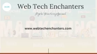 SEO and Digital Marketing Company In USA - WTE