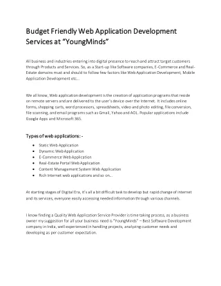 Budget Friendly Web Application Development Services - YoungMinds