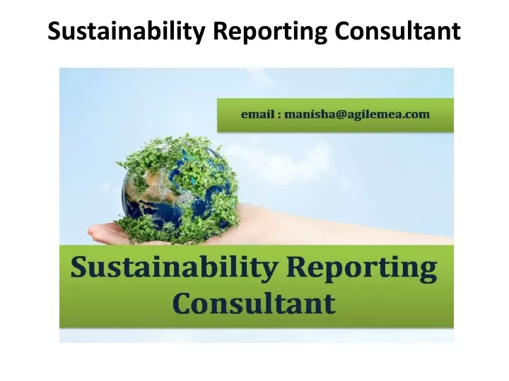 sustainability reporting consultant