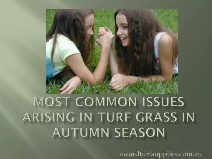 most common issues arising in turf grass in autumn season