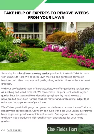 Take Help of Experts to Remove Weeds From Your Lawn