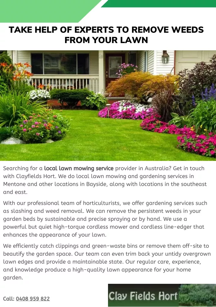take help of experts to remove weeds from your