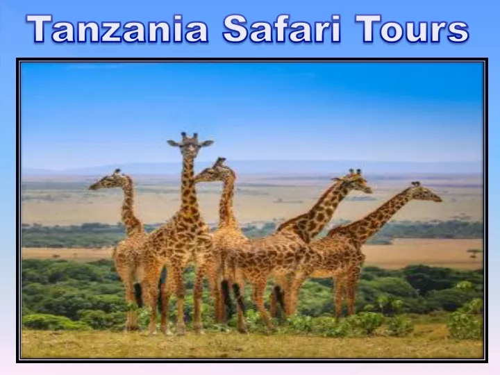 tanzania safari tours