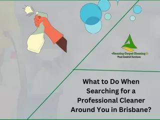 What to Do When Searching for a Professional Cleaner Around You in Brisbane