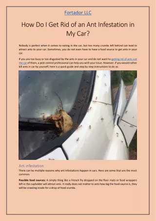 How Do I Get Rid of an Ant Infestation in My Car