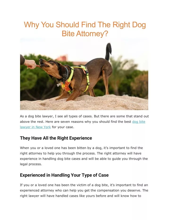 why you should find the right dog bite attorney