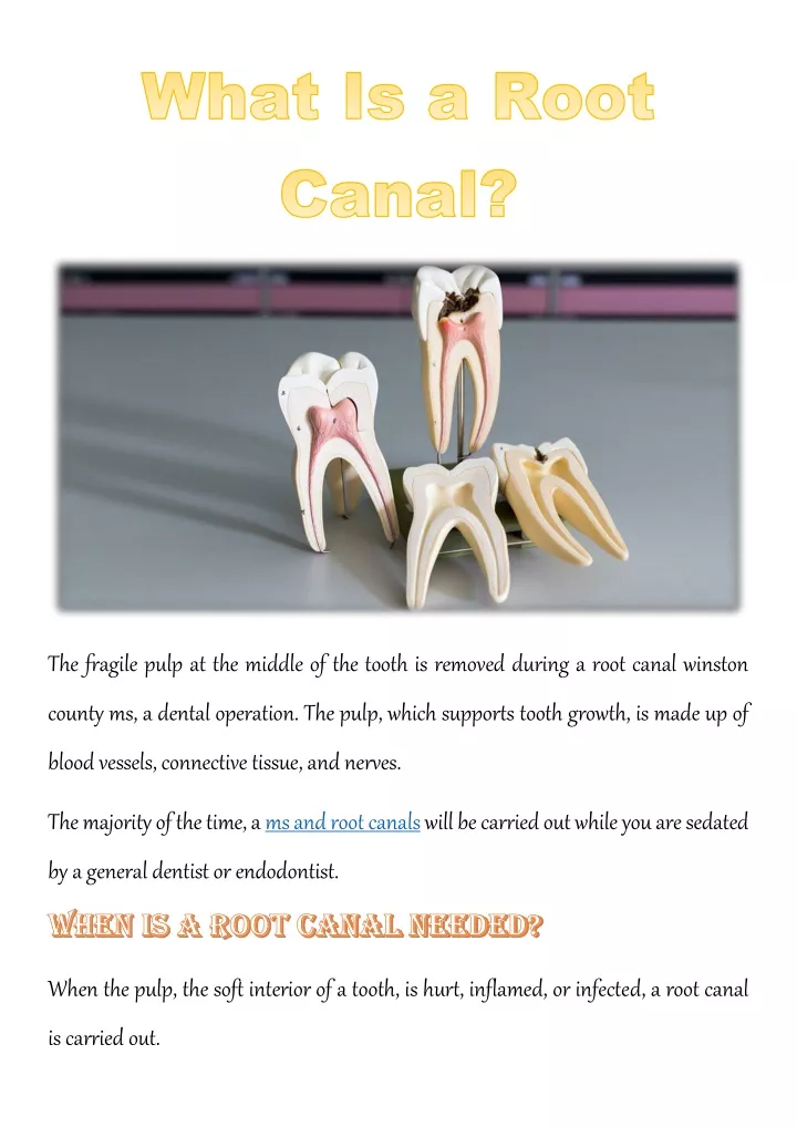 the fragile pulp at the middle of the tooth