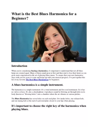 what is the best blues harmonica for a beginner