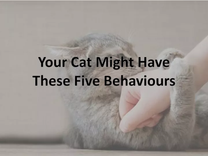 your cat might have these five behaviours