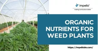 A complete guide to organic nutrients for weed plants