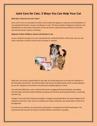 joint care for cats 3 ways you can help your cat