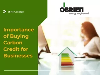 Importance of Buying Carbon Credit for Businesses