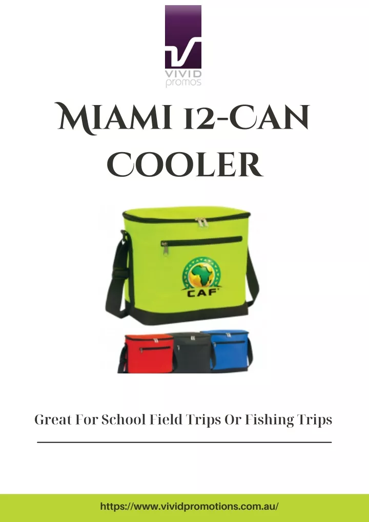 miami 12 can cooler