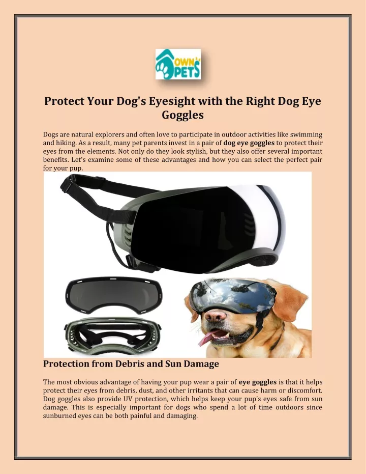 protect your dog s eyesight with the right