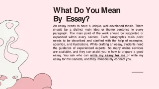 What Do You Mean By Essay?
