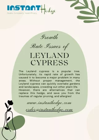 Why Do you Need Leyland Cypress Alternatives?