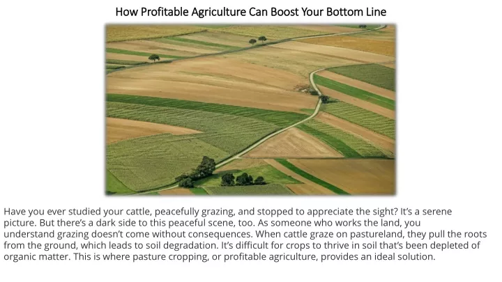 how profitable agriculture can boost your bottom line