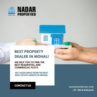 Best Real Estate Agent in Punjab