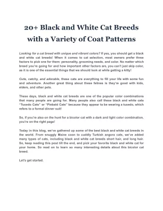 20 black and white cat breeds