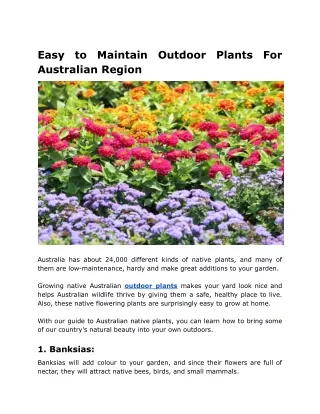 Easy to Maintain Outdoor Plants For Australian Region