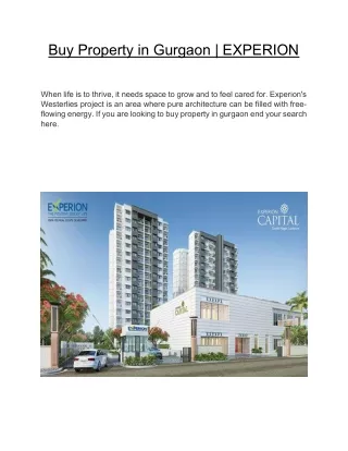 buy property in gurgaon experion