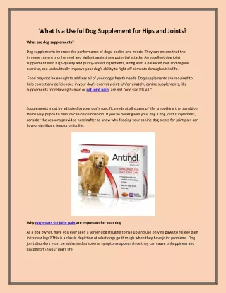 What Is a Useful Dog Supplement for Hips and Joints