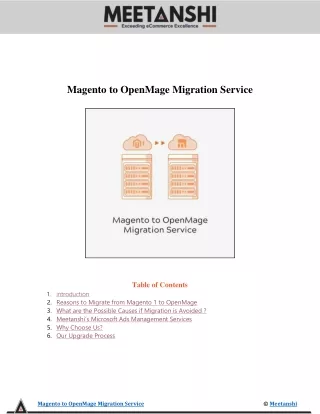 magento to openmage migration service